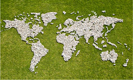 The Bitcoin Talk forum